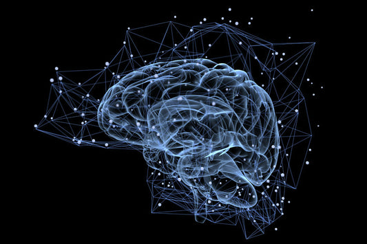 SCIENZIATI SCOPRONO STRUTTURE "NASCOSTE" ALL'INTERNO DEL CERVELLO